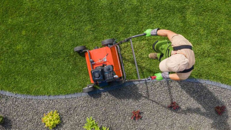 Affordable Lawn and Landscape Care