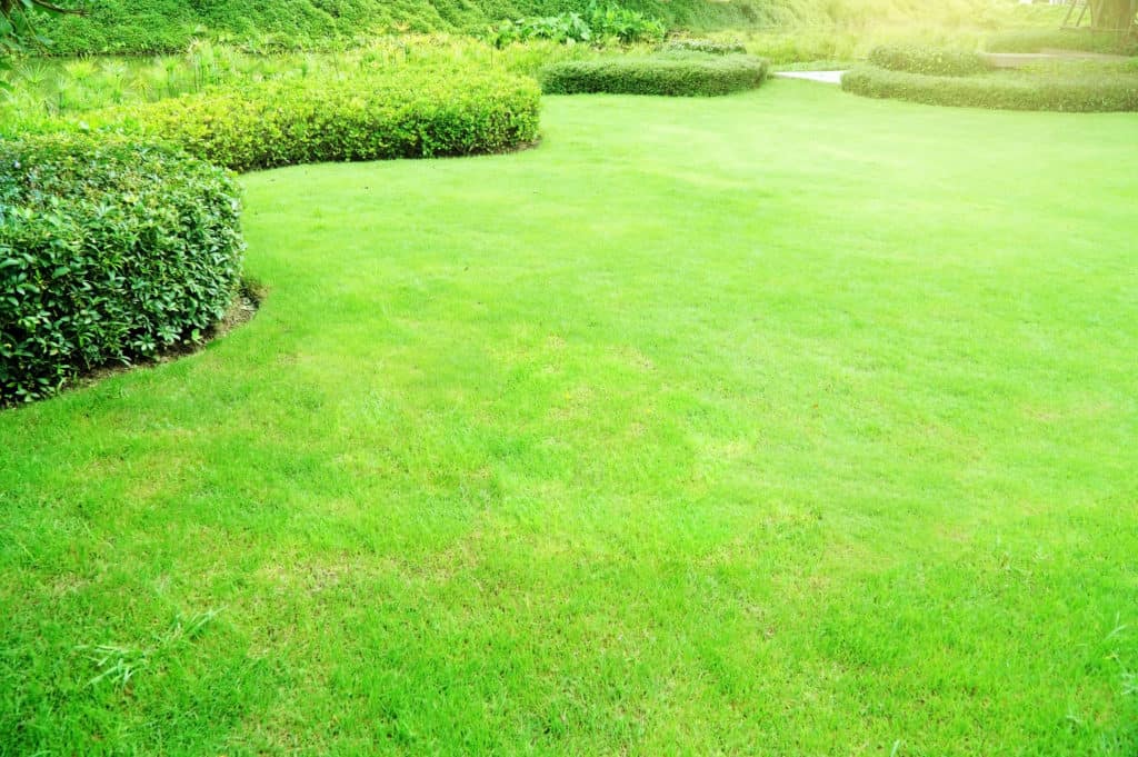 Lawn Services Kennesaw 